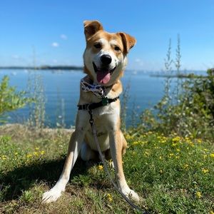 Meet your Posher, Michele